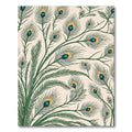 Cream Peacock Feather Vibrant Rug(Ivory)