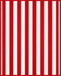 Bold Crimson and White Striped Rug