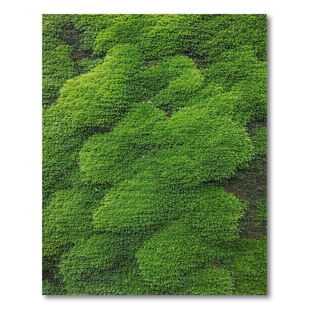 Fresh Green Leaf Cluster Rug(Green)