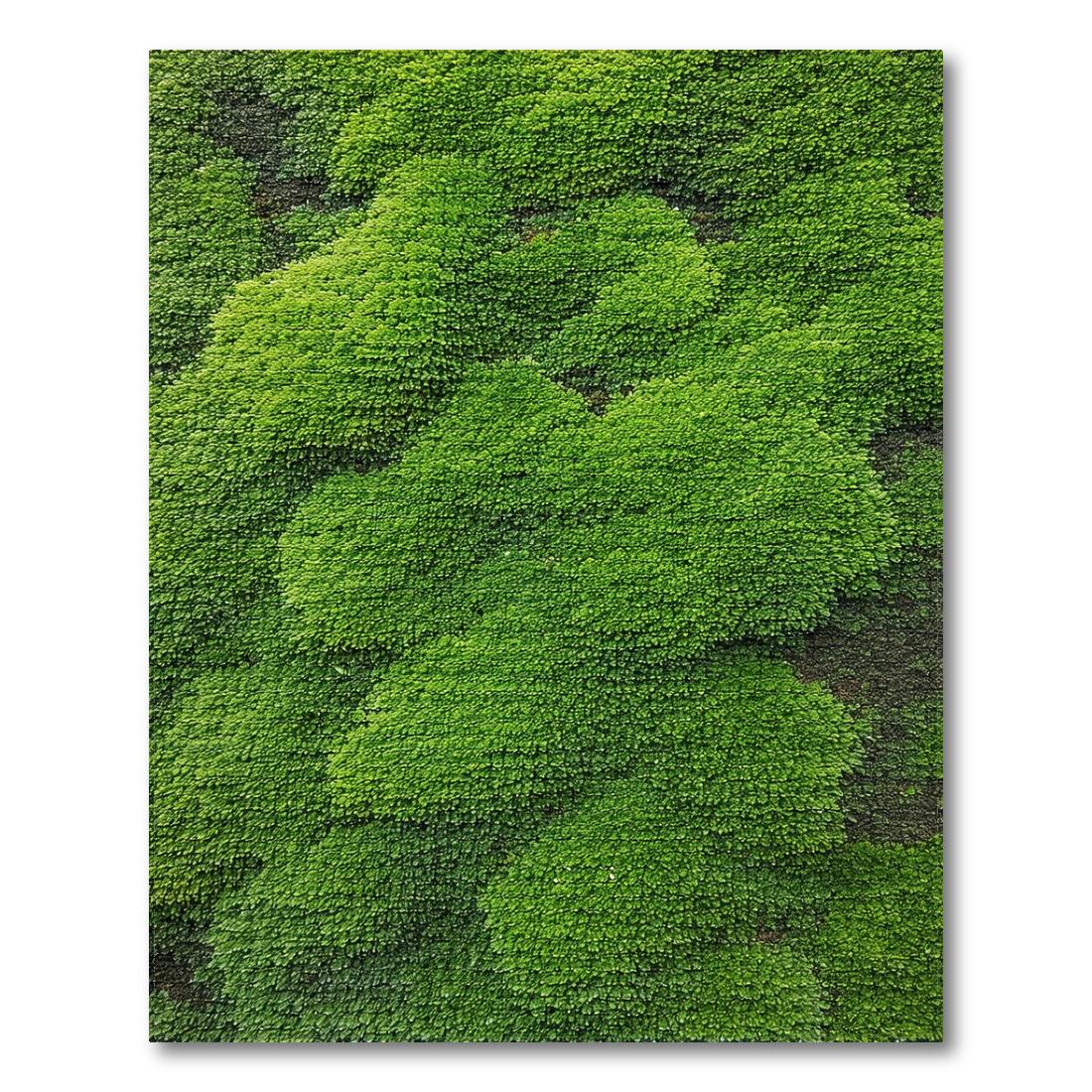 Fresh Green Leaf Cluster Rug(Green)
