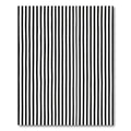 Thin Black White Vertical Lines Rug