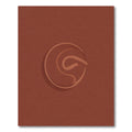 Terracotta Swirl Abstract Circle Rug