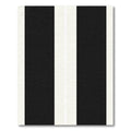 Bold Black White Parallel Bands Rug