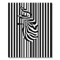 Black White Zebra Stripes Optical Illusion Rug
