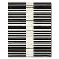 Monochromatic Black White Stripe Rug