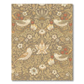 Vintage Brown Bird Strawberry Floral Rug