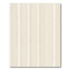 Cream Vertical Stripe Accent Rug