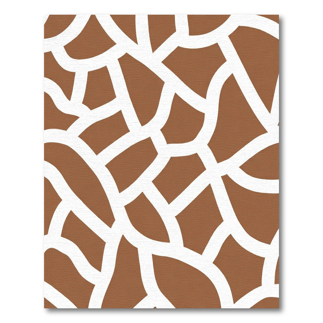 Brown and White Cracked Earth Rug