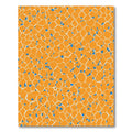 Orange Blue Cellular Network Rug
