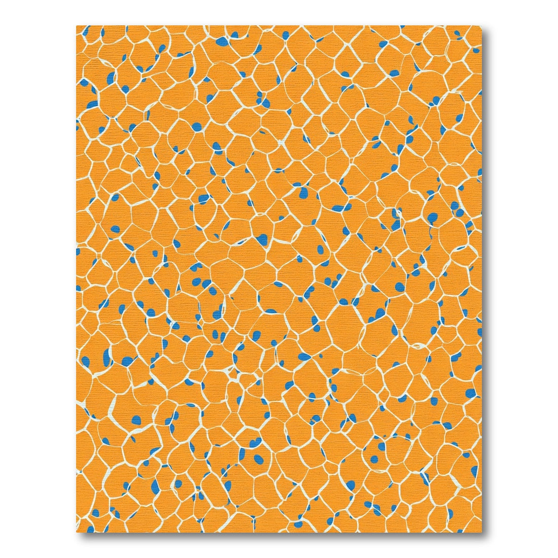 Orange Blue Cellular Network Rug
