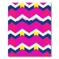 Vibrant Pink Geometric Chevron Rug