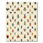 Whimsical Insect Collection Cream Background Rug