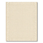 Neutral Checkered Border Artwork Rug