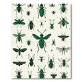 Dark Green Insect Collage Rug