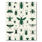 Dark Green Insect Collage Rug