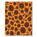 Brown Organic Spheres On Orange Rug