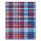 Red Blue White Plaid Grid Rug