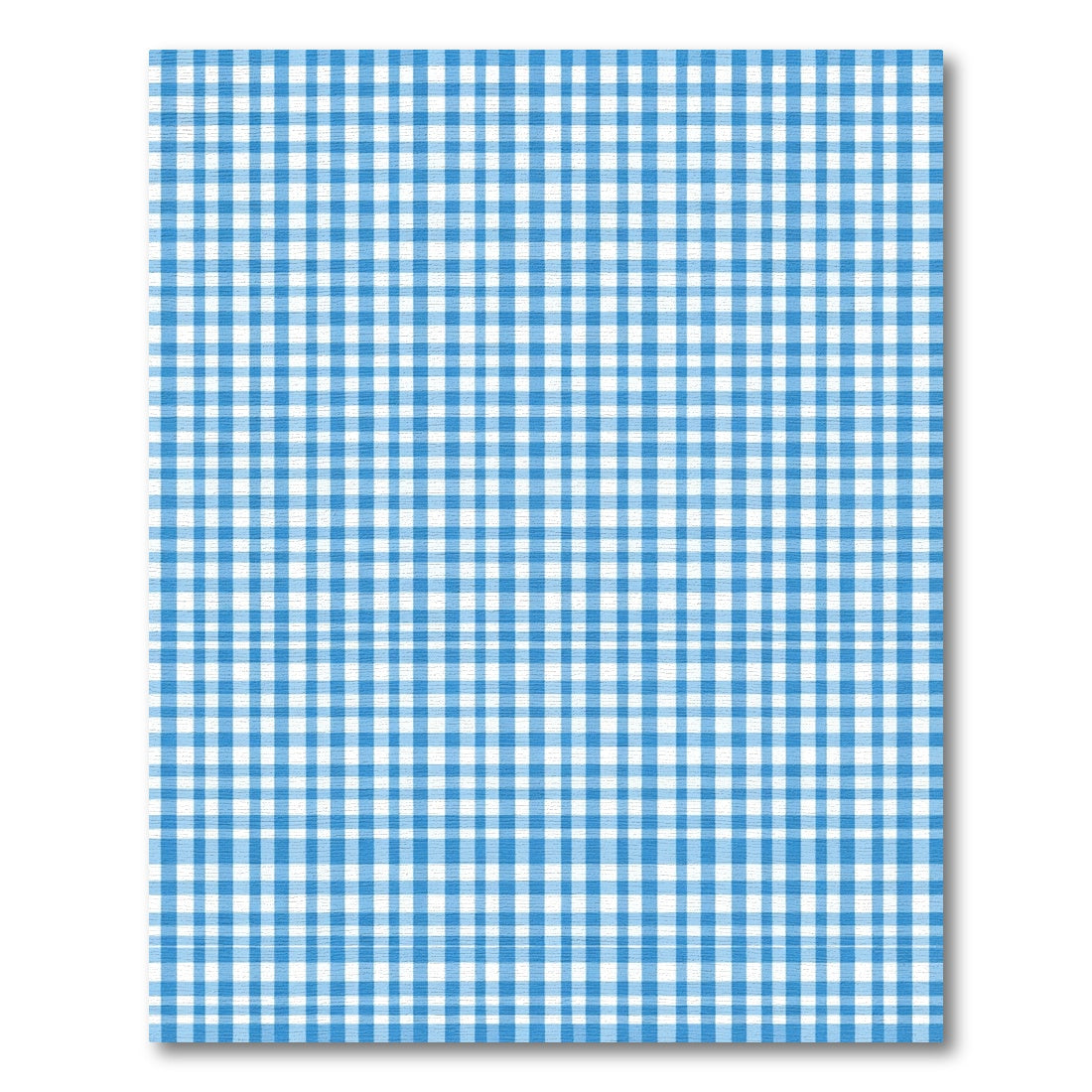Classic Blue White Gingham Weave Rug