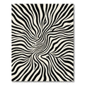 Black Cream Abstract Swirl Zebra Rug