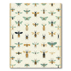 Eclectic Entomological Chart Cream Rug