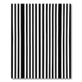 Alternating Black White Linear Texture Rug