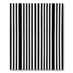 Alternating Black White Linear Texture Rug