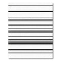 Modern Black White Striped Harmony Rug
