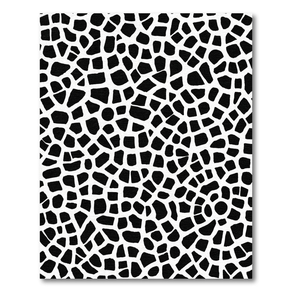 Black And White Cracked Earth Rug