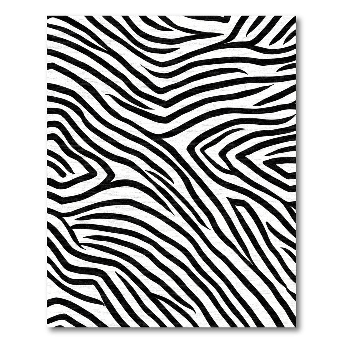 Striking Black White Curving Lines Rug