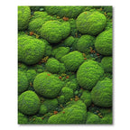 Vibrant Green Mossy Serene Rug(Green)